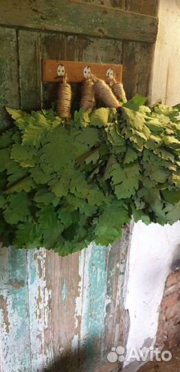 Дубовые веники