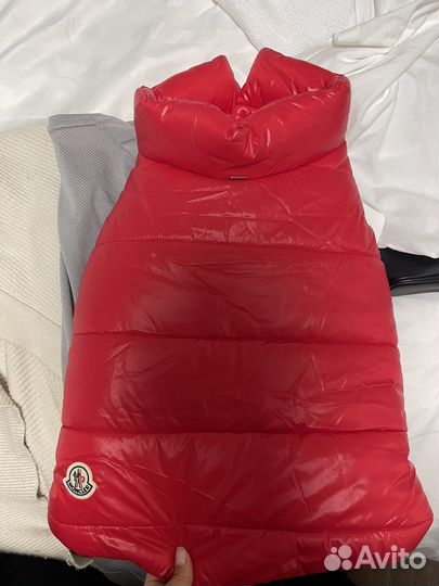 Накидка Moncler Poldo Dog Couture