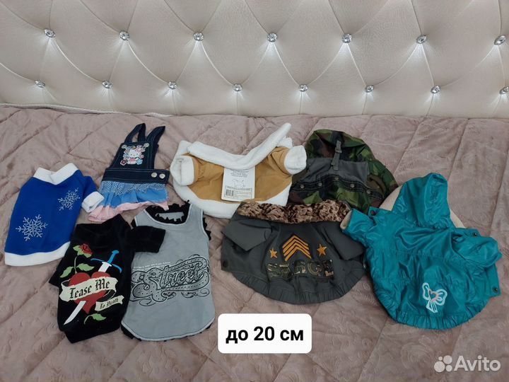 Одежда для собак