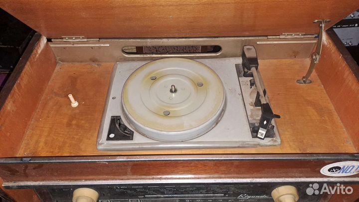 Радиола ригонда