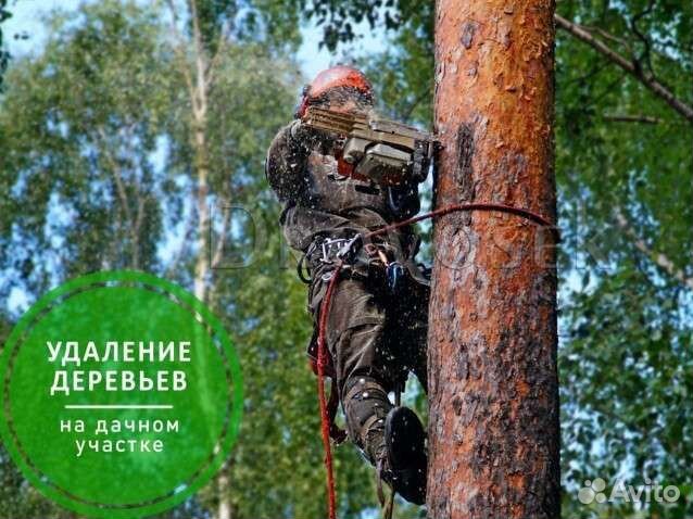 Спил деревьев, кронирование,расчистка участка