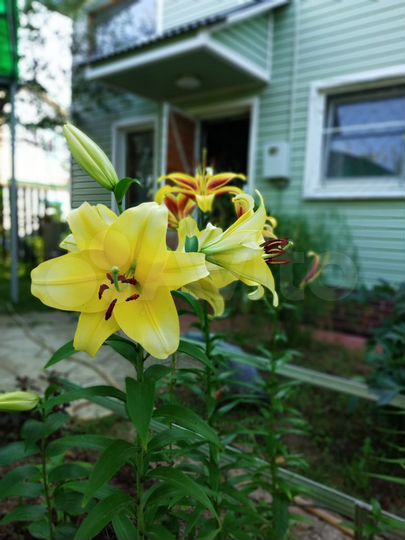 Дача 78 м² на участке 4 сот.