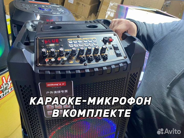 Колонка QiSheng с микрофоном и караоке