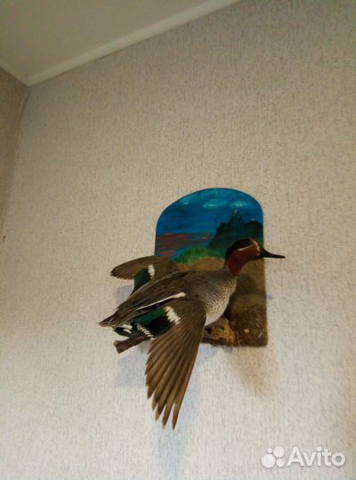 Чучело утки подарок охотнику