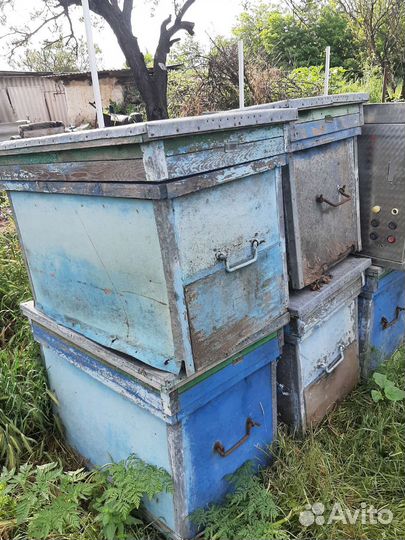 Улики для пчел