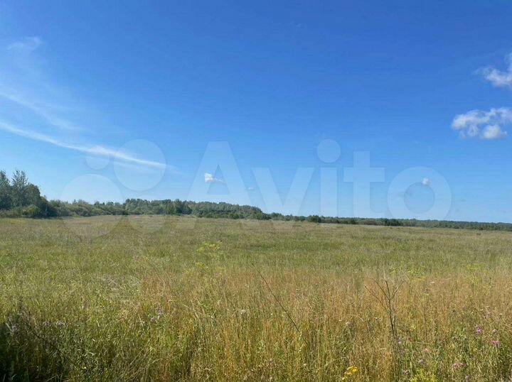 Участок 534,36 га (СНТ, ДНП)