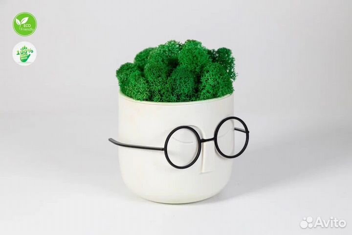 Кашпо мох стабилизированный горшок
