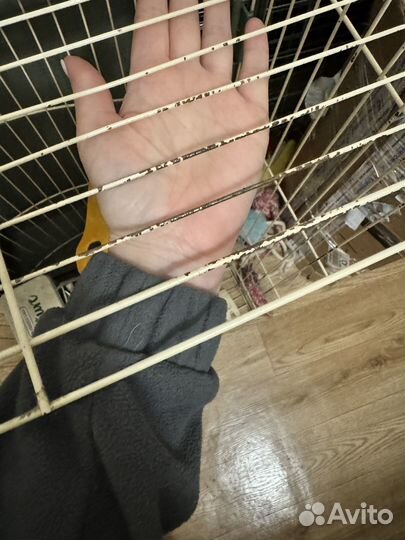 Клетка для кролика большая
