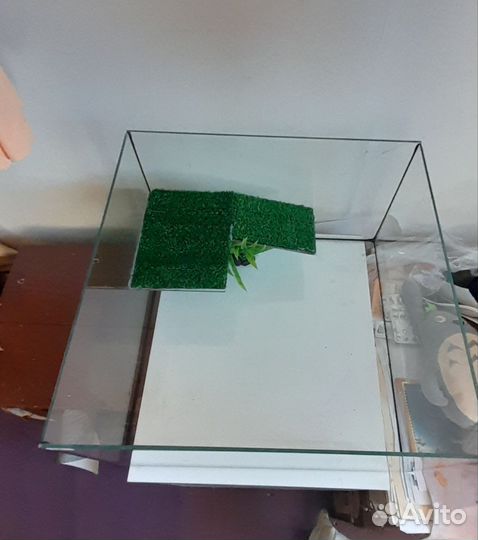 Террариум для черепахи