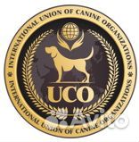 Официальный Кинологический союз собаковод UCO- KCC