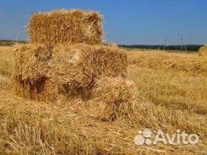 Солома в тюках с доставкой