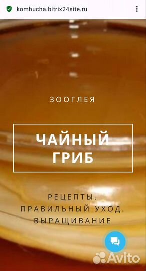 В наличии инд.рис.Возможны заказы.Чайный Гриб, рис