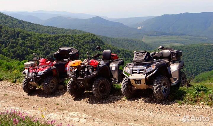 Аренда квадроциклов