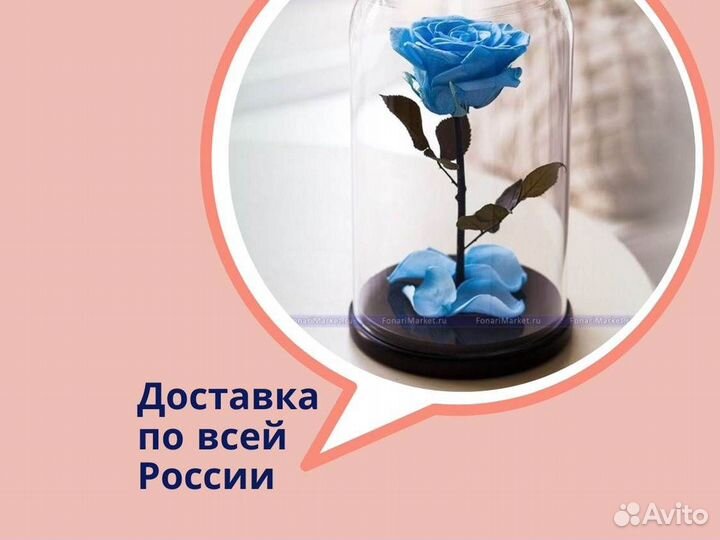 Роза в колбе