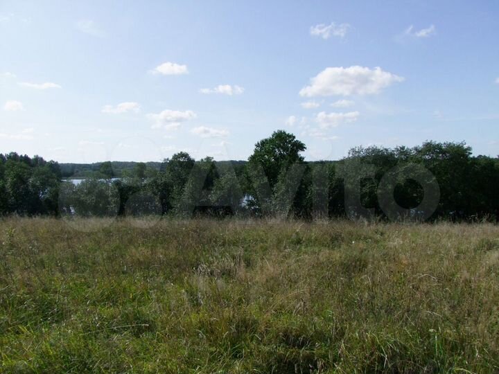 Участок 67,1 сот. (СНТ, ДНП)