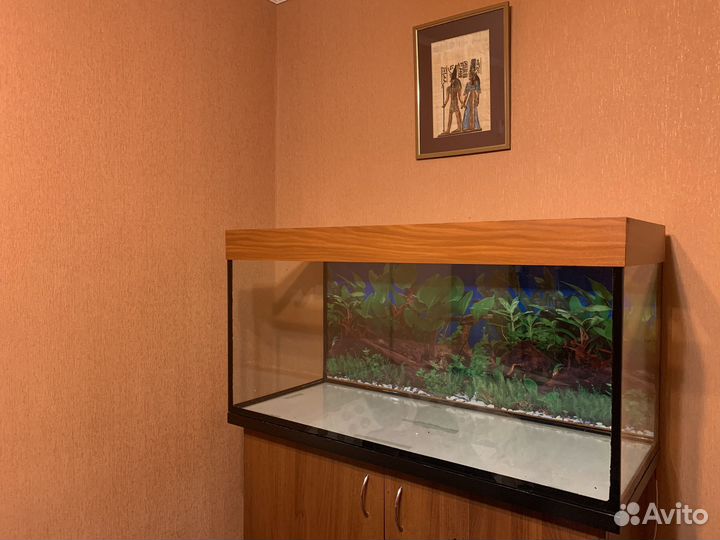Аквариум для рыбок на 250 литров