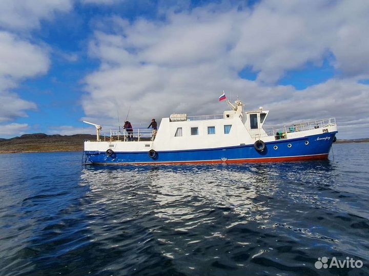 Териберка +Киты