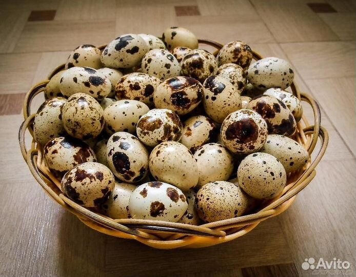 Яйца перепелиные