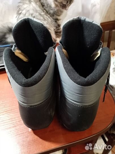 Лыжные ботинки