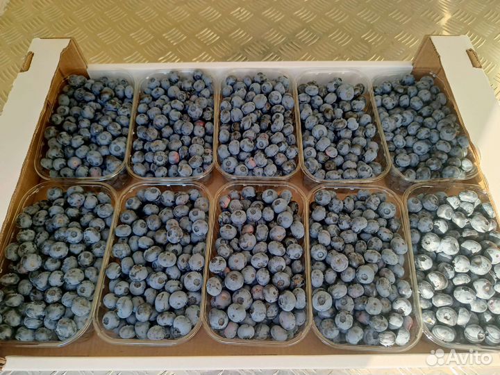 Голубика ягоды