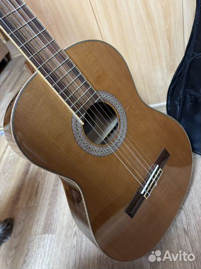 Гитара crusader