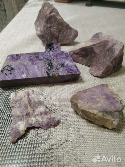 Чароит порода