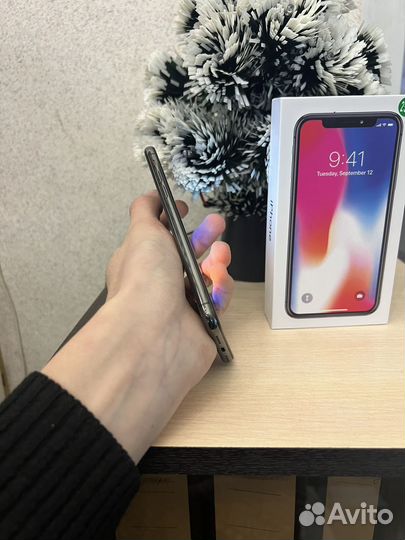 iPhone X, 256 ГБ