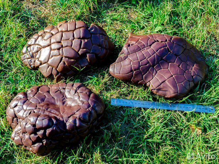 Киммерийцы. Cидерит. Камни. Крым