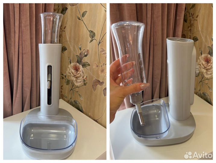 Косметика ISB, корма Monge и вещи для собаки