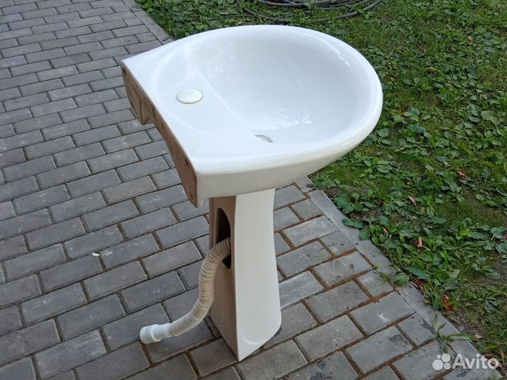 Раковина тюльпан