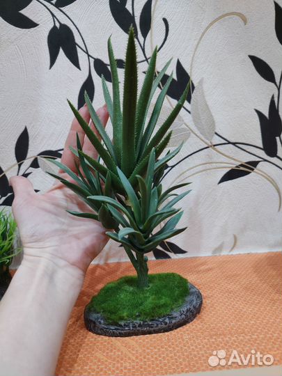 Декор в террариум