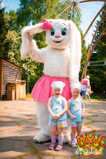 Аниматор и шоу программы