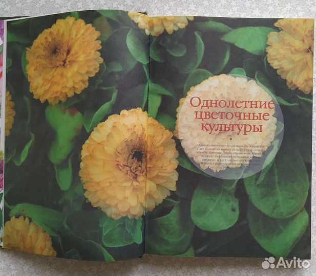 О Ганичкина Цветы на вашем участке