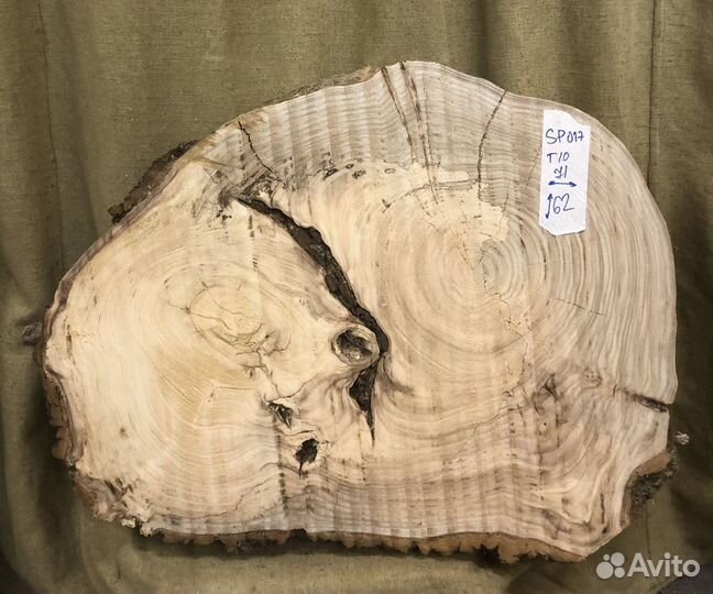 Спил карагача