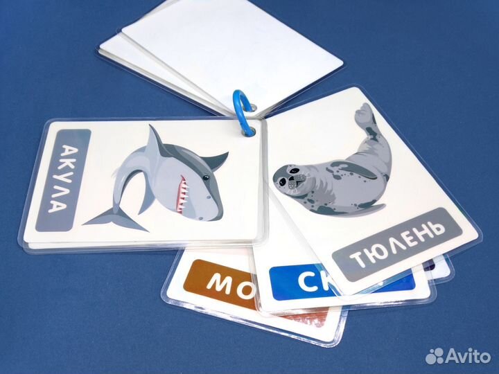 Карточки ламинированные для детей 1+