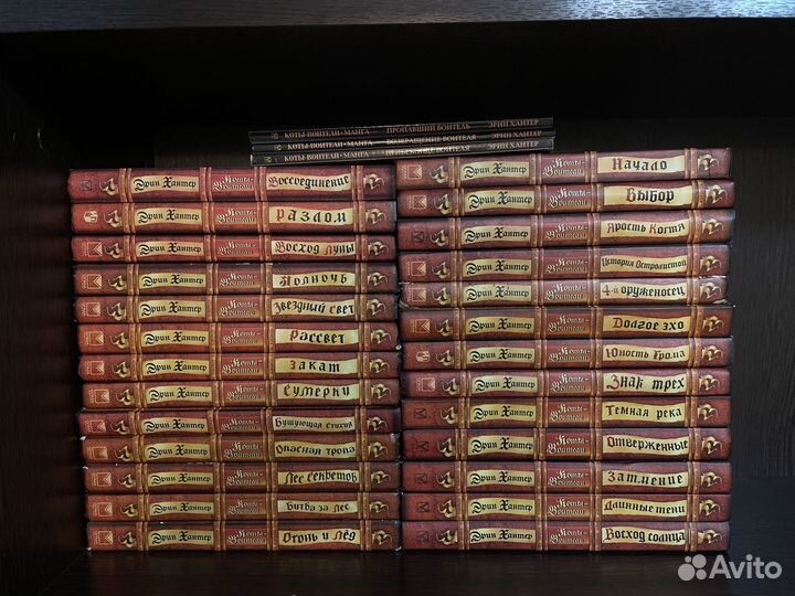 Коты-воители Эрик Хантер