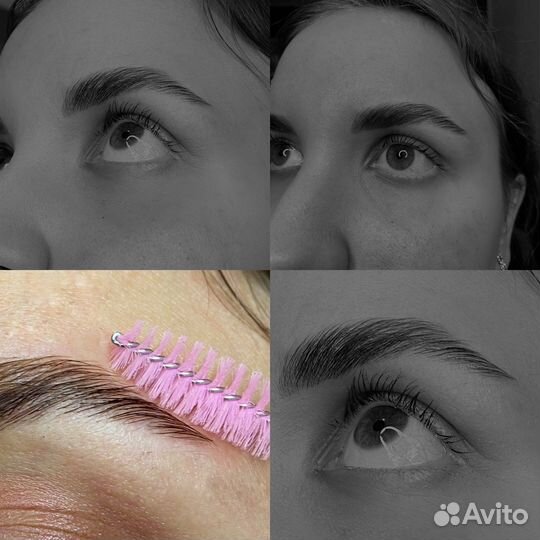 Мастер бровист