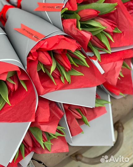 Тюльпаны на 8 марта в упаковке