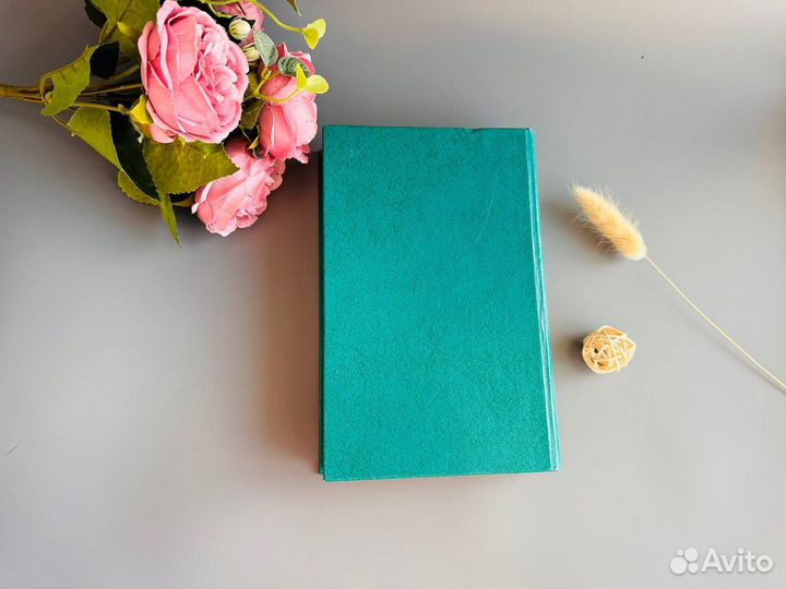 Юрий Мушкетик Белая тень, Жестокое милосердие