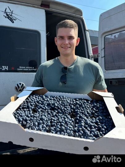 Ящик Фруктов и ягод