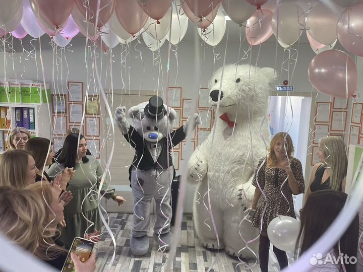 Поздравление белый мишка, тедди, зайка