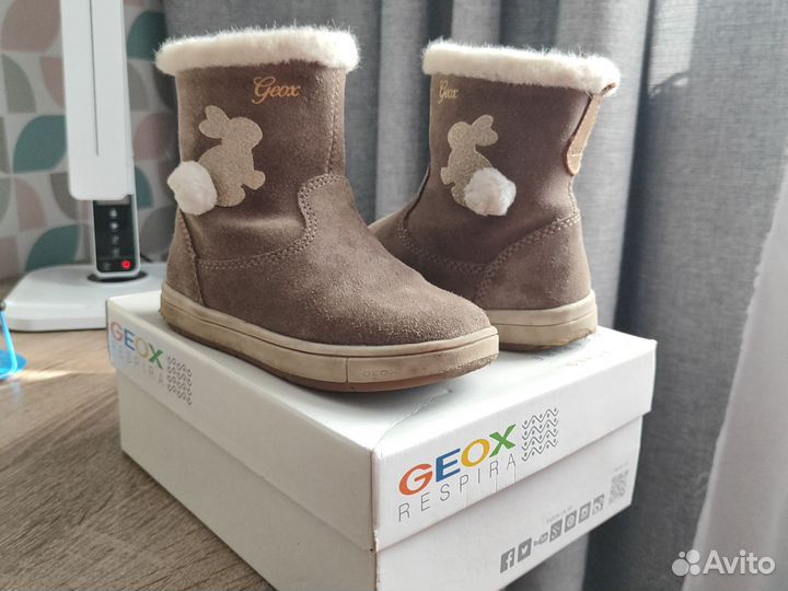 Geox 24