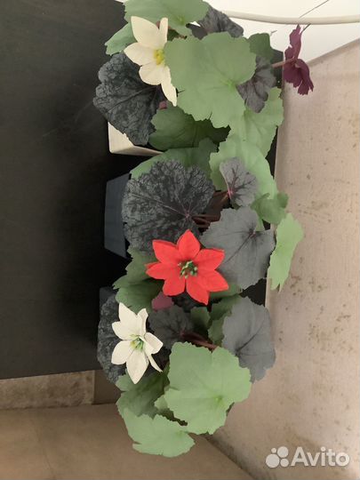 Искусственные цветы IKEA