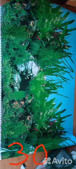 Для аквариума