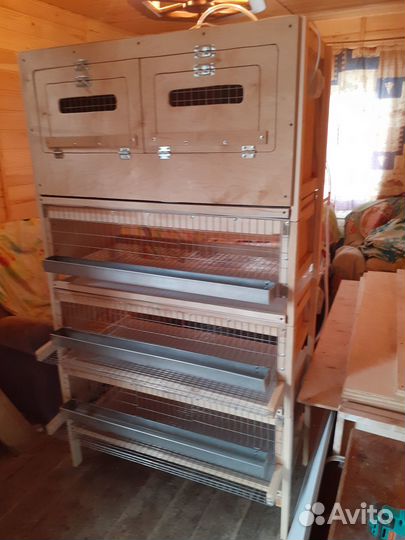 Мини ферма для перепелов