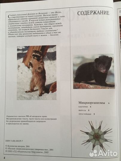 Учебная литература