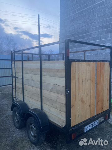 Скотовоз перевозка скота