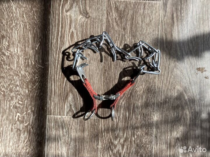 Строгий ошейник