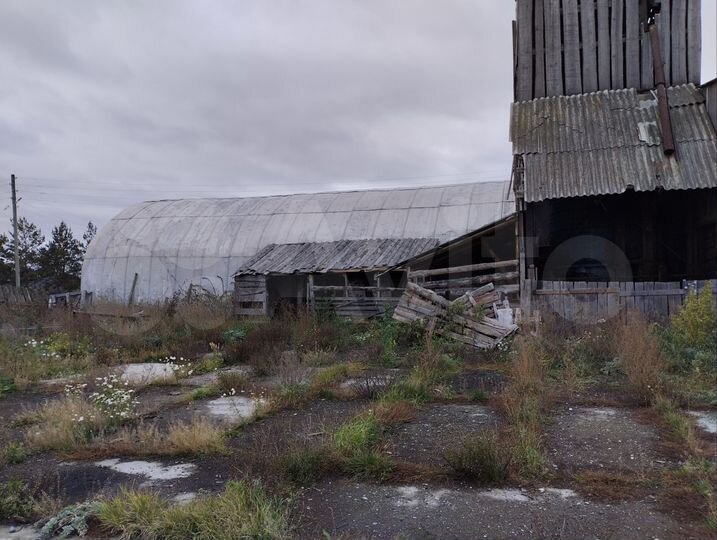 Склад, 3000 м²