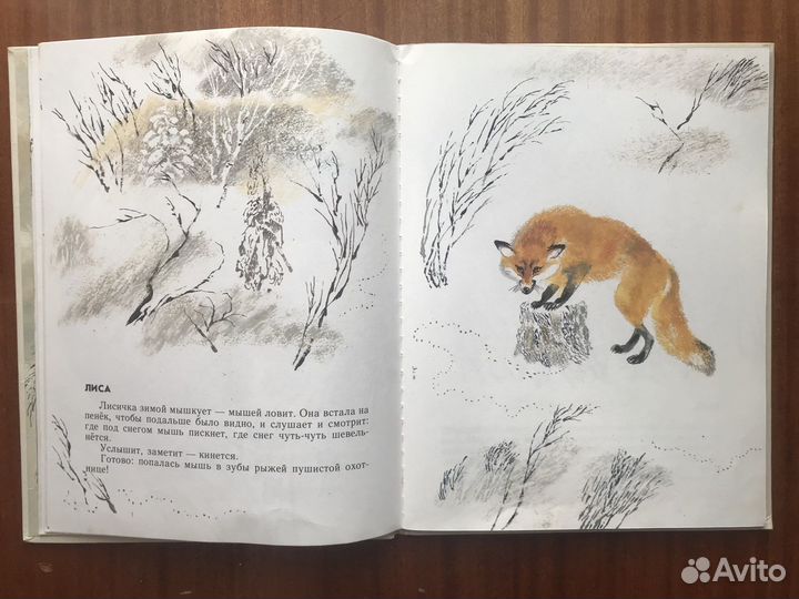 Моя первая зоология